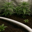 PE Hose 16 mm 1 Meter – Irrigation Pipe PE