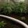 PE Hose 25 mm 1 Meter – PE Irrigation Pipe