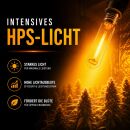 Pure Light 600 Watt HPS/NDL ROT Bloom Blütephase – Natriumdampflampe Blüte