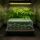 Cutting Propagation Kit Basic – Starter Kit for Plant Cuttings