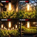 Pure Light 150 Watt Energiesparlampe ROT Blütephase...