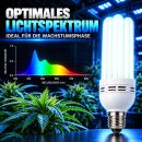Pure Light 125 Watt Energiesparlampe BLAU Wachstumsphase – ESL Grow Lampe Wuchs