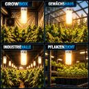 Pure Light 200 Watt Energiesparlampe BLAU Wachstumsphase...