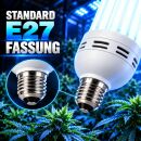 Pure Light 250 Watt Energiesparlampe BLAU Wachstumsphase – ESL Grow Lampe Wuchs