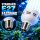 Pure Light 250 Watt Energiesparlampe BLAU Wachstumsphase – ESL Grow Lampe Wuchs