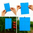Blautafel gegen Thripse 10x25 cm 10 Stück – Klebefallen für Thripse
