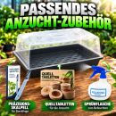 Gewächshaus Weichplastik - Anzucht Stecklinge