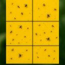 Gelbtafel gegen Schädlinge 10x25 cm 10 Stück – Klebefallen für Fliegen