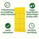 Gelbtafel gegen Schädlinge 10x25 cm 10 Stück – Klebefallen für Fliegen