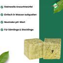rock wool cubes 10 x 10 x 6.5 cm with small hole
