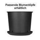 Round Coaster 42 cm Diameter – Round Plant Pot Protector