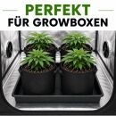 Plant Tray Hard Plastic 80 x 80 cm – Durable Seedling Tray