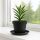 Untersetzer Rund 10 cm Durchmesser – Blumentopf Untersetzer