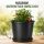 Blumentopf RUND 3 Liter 16x16 cm – Pflanztopf Grow