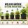 Blumentopf RUND 3 Liter 16x16 cm – Pflanztopf Grow