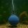 Ceramic Air Stone for Aquarium 50 mm Round – Grow Air Stone