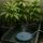 Ceramic Air Stone for Aquarium 150 mm – Full Air Stone Grow