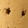 Blind Stopper Cork 14.5 mm – Bong Closure Cork