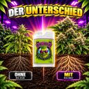 Advanced Nutrients Big Bud 1 Liter – Bloom Booster for Maximum Yield