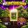 Advanced Nutrients Big Bud 1 Liter – Bloom Booster for Maximum Yield