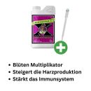 Advanced Nutrients Bud Factor X 500 ml – Harz &...