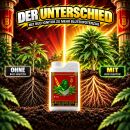 Advanced Nutrients Bud Ignitor 250 ml – Bloom Starter & Flowering Booster