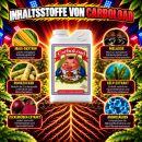 Advanced Nutrients Carboload 1 Liter – Carbohydrate Bloom Booster