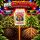 Advanced Nutrients Carboload 250 ml – Carbohydrate Bloom Booster