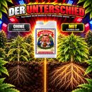 Advanced Nutrients Carboload 5 Liters – Carbohydrate Bloom Booster