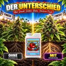 Advanced Nutrients Overdrive 1 Liter – Bloom Booster for Late Flowering Phase