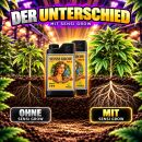 Advanced Nutrients Sensi Grow A&B 500 ml – Two-Part Growth Nutrient