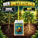 Advanced Nutrients Rhino Skin 5 Liters – Plant Strengthening Silicon