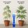 Bluelab pH Meter Pen – Digital pH Tester