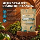 Green House Feeding Bio Enhancer 500 g –...