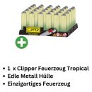 1x Clipper Metal Case Micro Tropical Gradient – Lighter Case