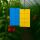 Blue and Yellow Sticky Traps for Thrips - 12x5 cm, Pack of 10 - Insect Traps for Plants