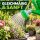 Plastic Watering Can 2 Liters – Garden Irrigation