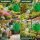 Plastic Watering Can 6 Liters – Garden Irrigation
