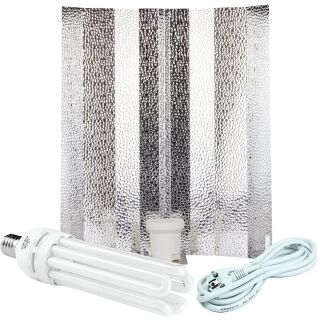 ESL 250 Watt Blüte Beleuchtungsset