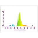ESL 250 Watt Blüte Beleuchtungsset