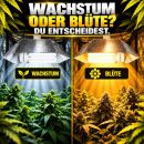 ESL 250 Watt Blüte Beleuchtungsset – Energiesparlampe Grow