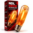 Pure Light 400 Watts