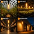 Pure Light 400 Watts