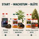 Canna Terra 6-Teiliges Dünger Set XL – Mineralischer Grow Dünger