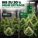 Co2 Box – CO2 Quelle für Pflanzen
