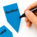 Pflanzenschilder Blau 100 Stück – Steckschilder Pflanzenmarkierung