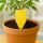 Yellow Plant Labels 100 Pack – Plant Markers for Garden Identification