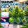 VDL CO2 Tablets 60 Pieces – CO2 Enrichment for Plant Growth