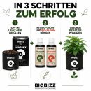 BioBizz Light Mix Erde-Set – Bio Anzuchterde