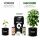 BioBizz Light Mix Erde-Set – Bio Anzuchterde